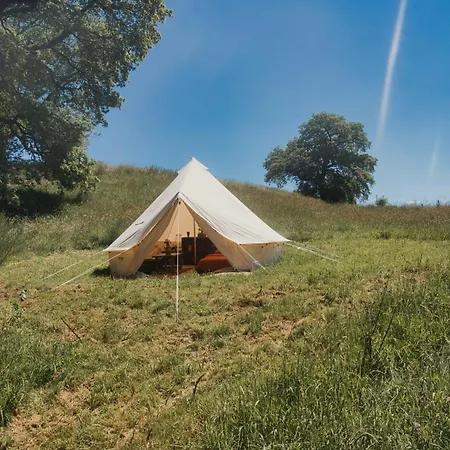 Tente Yourte De La Roulotte Ruche Luxury tent Chimay