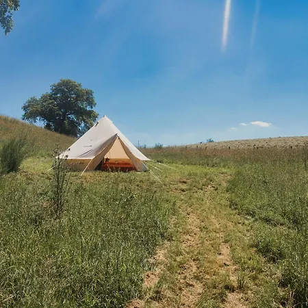 Tente Yourte De La Roulotte Ruche Campo de lujo Chimay